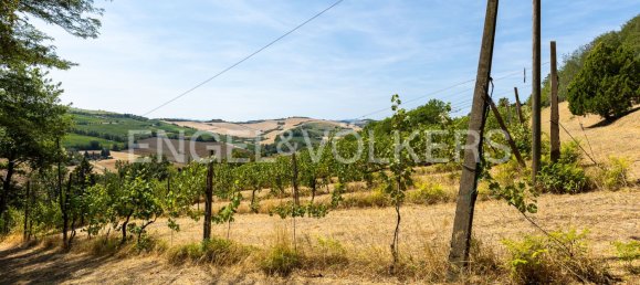 4 bedrooms Villa in Dozza, Italy No. 134181 13