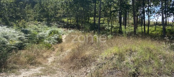 Terreno em Regadas, Portugal N.º 162433 5