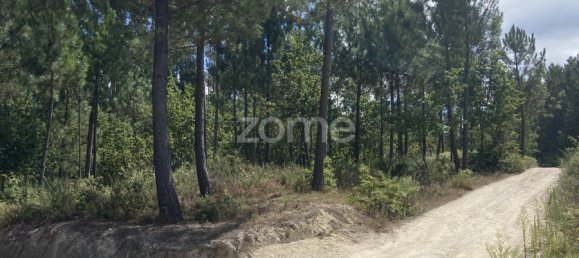 Terreno em Regadas, Portugal N.º 162433 19