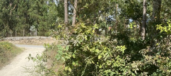 Terreno em Regadas, Portugal N.º 162433 12