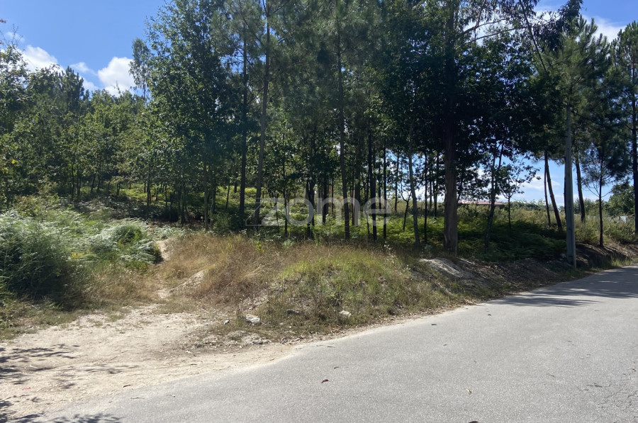 Terreno em Regadas, Portugal N.º 162433