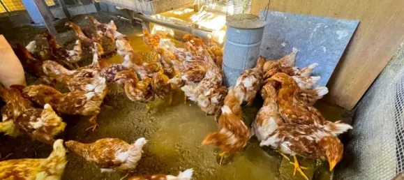 Casa T1 em Alpes-Maritimes, France N.º 324388 2