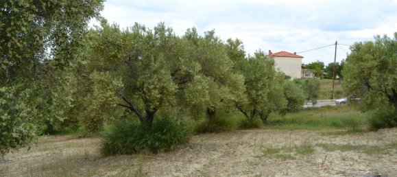 Hotel en Chalkidiki, Greece 6012 m² No. 6288 3