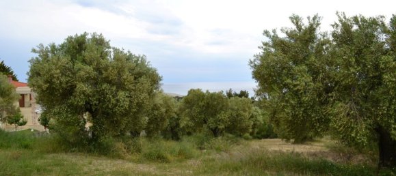 Hotel en Chalkidiki, Greece 6012 m² No. 6288 4