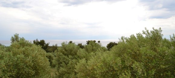 Hotel en Chalkidiki, Greece 6012 m² No. 6288 6