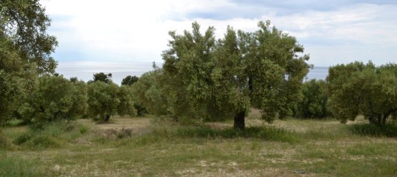 Hotel en Chalkidiki, Greece 6012 m² No. 6288 5