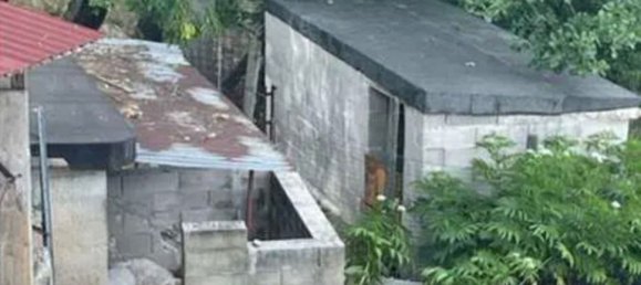 12غرفة فيلا في Frontone, Italy رقم 96117 23