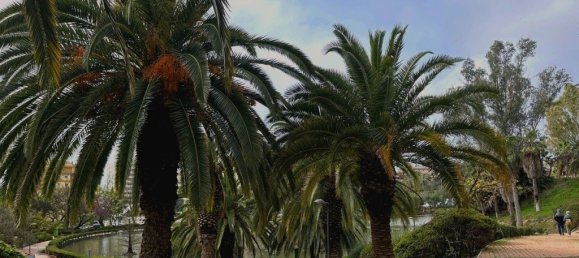 Apartamento T1 em Benalmadena, Spain N.º 21906 28