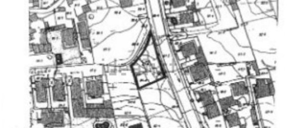 4 غرف نوم فيلا في Cascais, Portugal رقم 89308 14