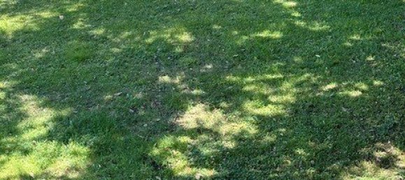 3 bedrooms Villa in Monte Argentario, Italy No. 271930 25