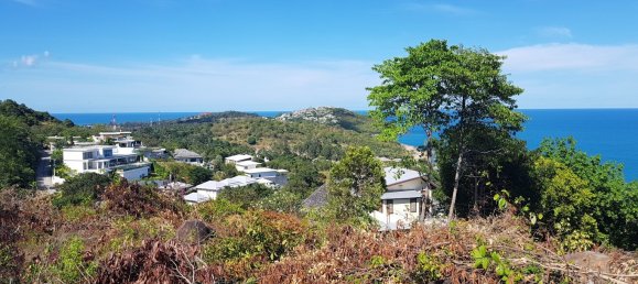 1m² Commercial property in Ko Samui, Thailand No. 7474 3