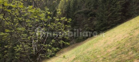 4 rooms House in Ledro, Italy No. 321251 47