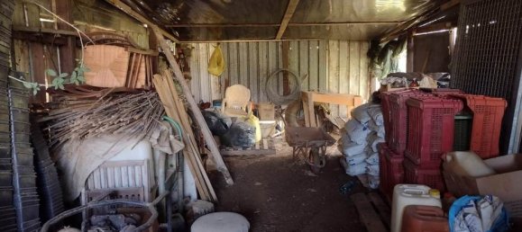  قطعة أرض في Roccastrada, Italy 60000متر مربع رقم 136313 6