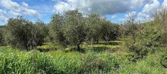  قطعة أرض في Roccastrada, Italy 60000متر مربع رقم 136313 15