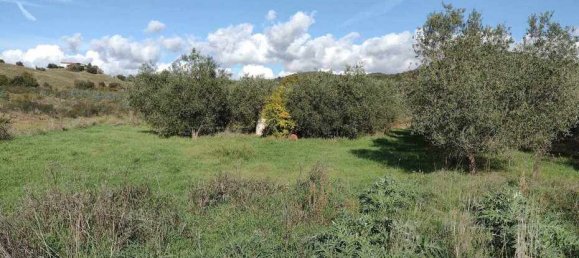  قطعة أرض في Roccastrada, Italy 60000متر مربع رقم 136313 10