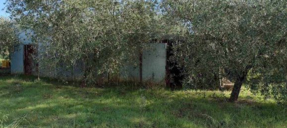  قطعة أرض في Roccastrada, Italy 60000متر مربع رقم 136313 11