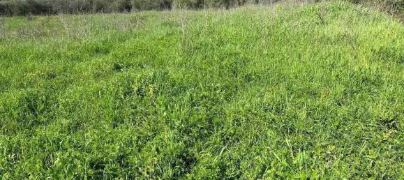  قطعة أرض في Roccastrada, Italy 60000متر مربع رقم 136313 18