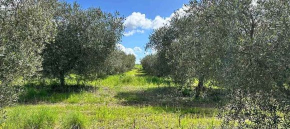  قطعة أرض في Roccastrada, Italy 60000متر مربع رقم 136313 4