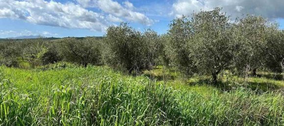  قطعة أرض في Roccastrada, Italy 60000متر مربع رقم 136313 16