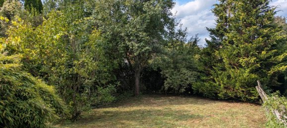 1 Schlafzimmer Wohnung in Freudenstadt, Germany, Nr. 292795 17