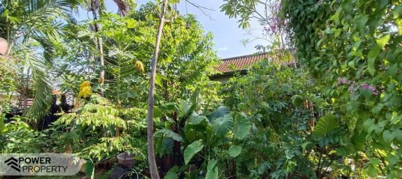 Terreno en Canggu, Indonesia 425 m² No. 4361 2