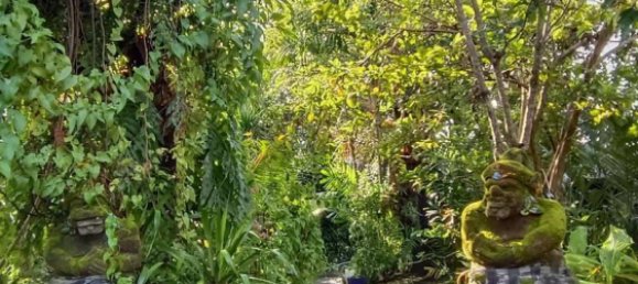 Terreno en Canggu, Indonesia 425 m² No. 4361 3