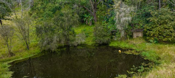 2 Schlafzimmer Haus in Upper Horseshoe Creek, Australia, Nr. 981 26