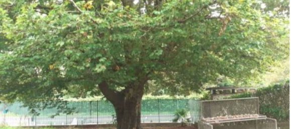 2غرفة شقة في Castello Cabiaglio, Italy رقم 5428 8