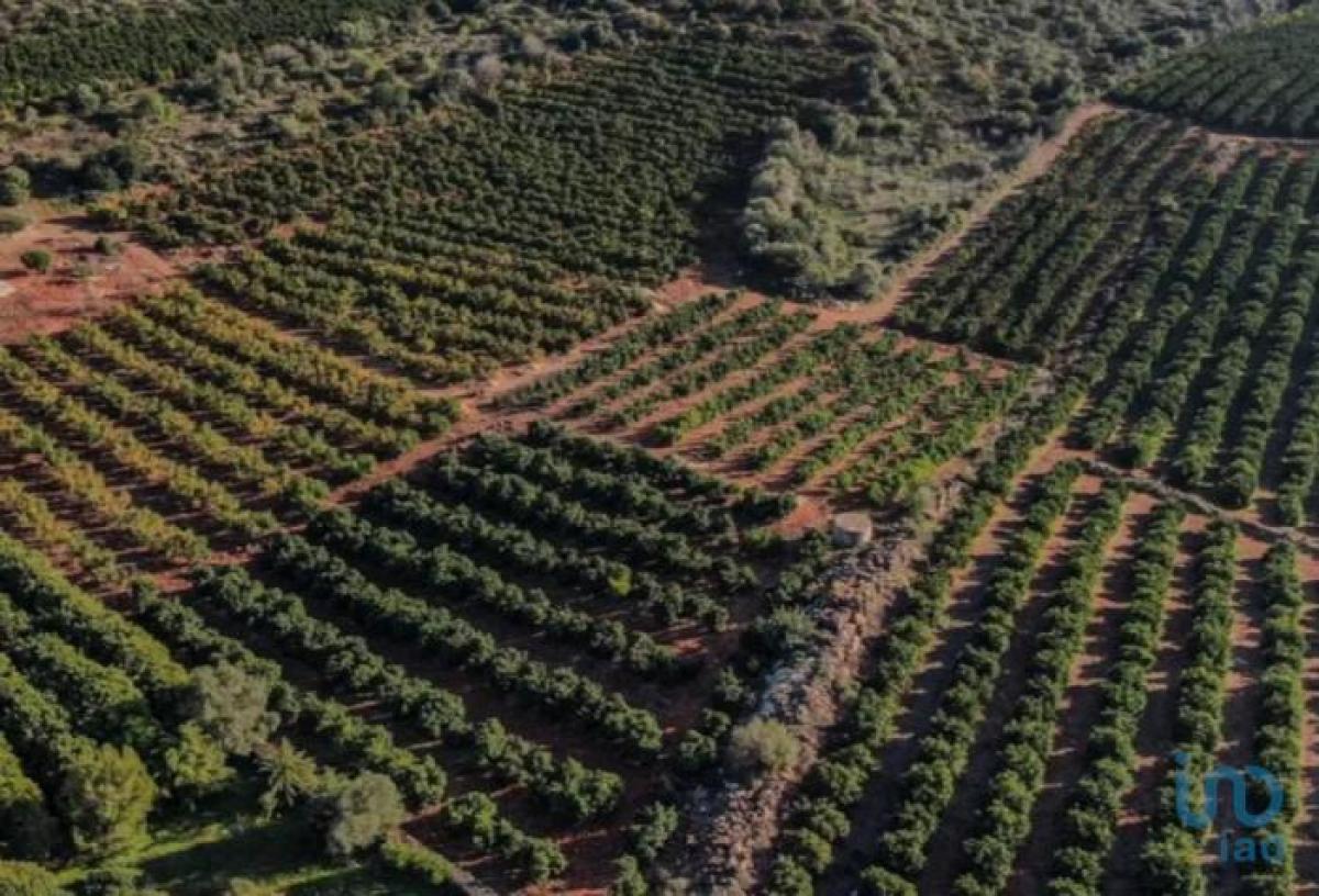  Land in Tavira, Portugal No. 8732