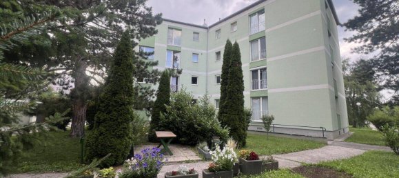 2-salle Appartement à Ebenfurth, Austria No. 216605 15