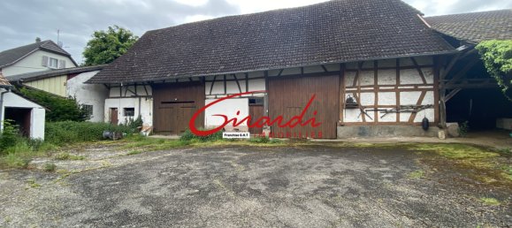 2 bedrooms House in Helfrantzkirch, France No. 58297 7