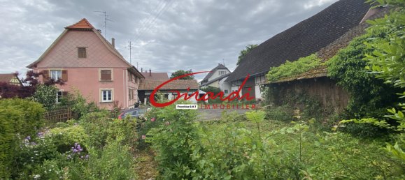 2 bedrooms House in Helfrantzkirch, France No. 58297 3