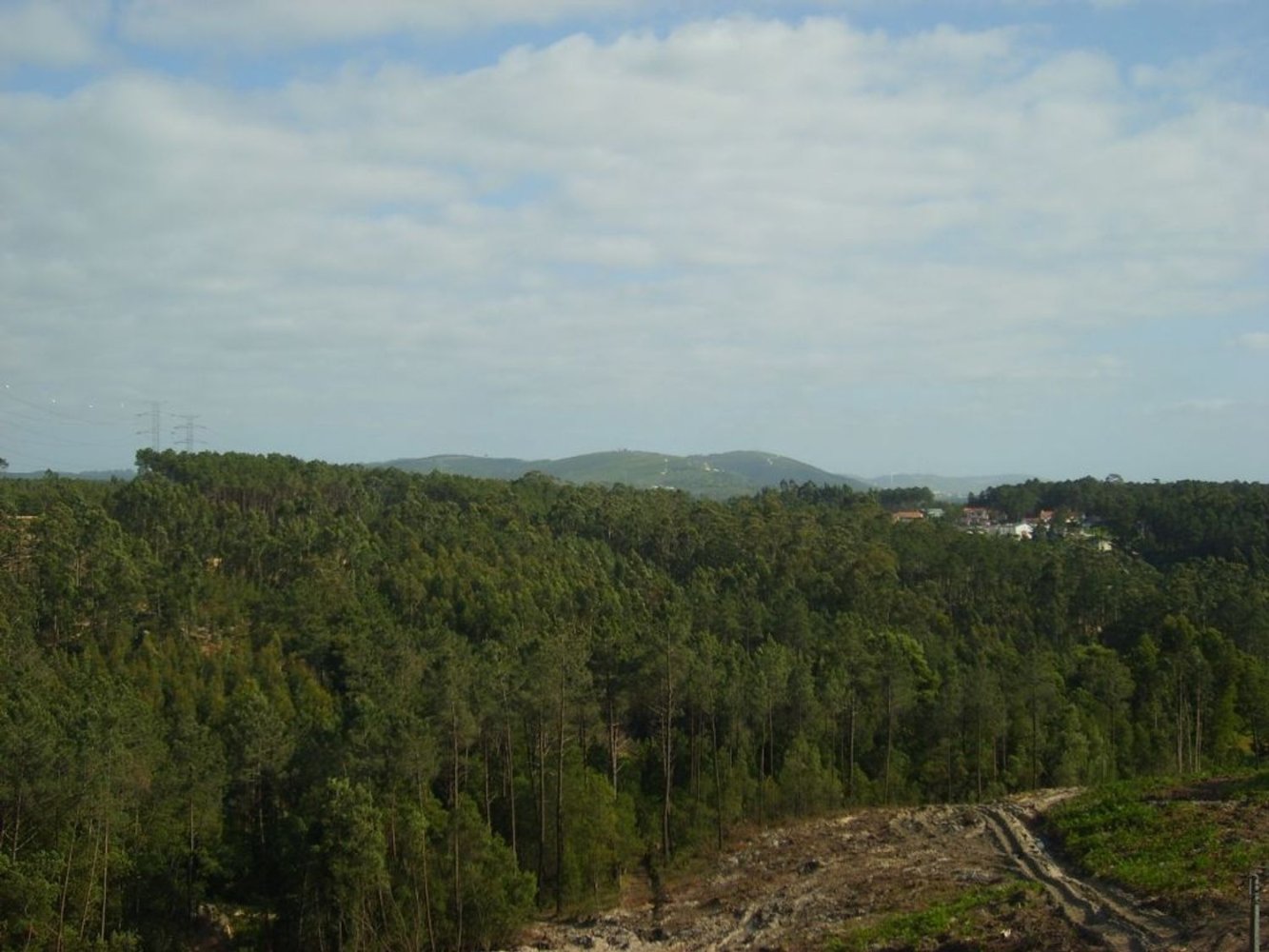 2 Schlafzimmer Wohnung in Leiria, Portugal, Nr. 294087