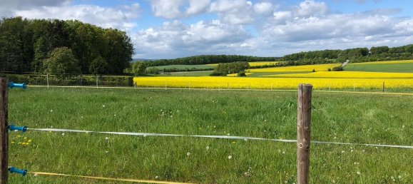 Terrain à Euskirchen, Germany No. 259453 3