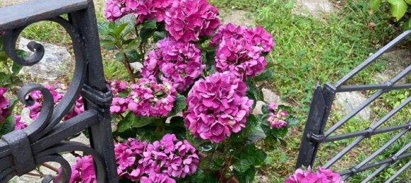 10 rooms Villa in Stresa, Italy No. 306458 25