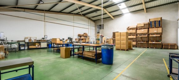 3242m² Warehouse in Esposende, Portugal No. 13721 40