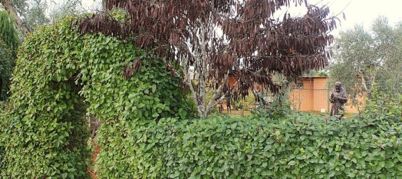 Вилла с 4 комнатами в Франкавилла Фонтана, Италия № 138778 27