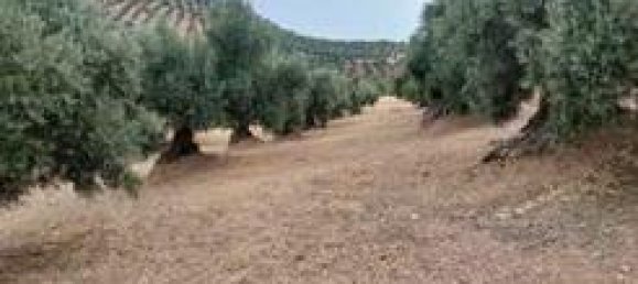 Земельный участок 5000м² в Андалусия, Испания № 186708 6