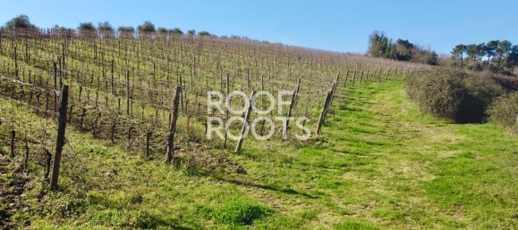 14 bedrooms Villa in Radda in Chianti, Italy No. 151878 26