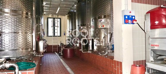 14 bedrooms Villa in Radda in Chianti, Italy No. 151878 33