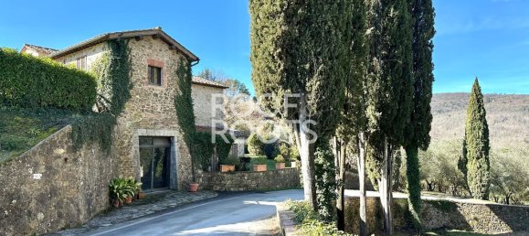 14 bedrooms Villa in Radda in Chianti, Italy No. 151878 3