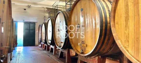 14 bedrooms Villa in Radda in Chianti, Italy No. 151878 29