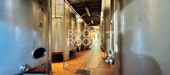 14 bedrooms Villa in Radda in Chianti, Italy No. 151878 11