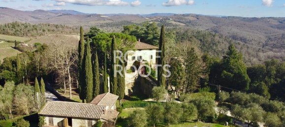 14 bedrooms Villa in Radda in Chianti, Italy No. 151878 15