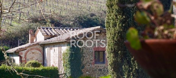 14 bedrooms Villa in Radda in Chianti, Italy No. 151878 19