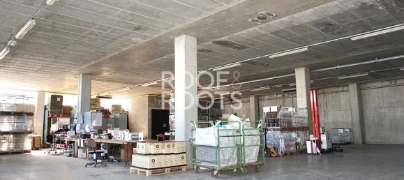 14 bedrooms Villa in Radda in Chianti, Italy No. 151878 4