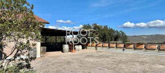 14 bedrooms Villa in Radda in Chianti, Italy No. 151878 44