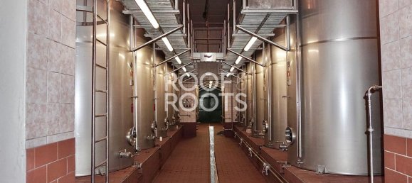 14 bedrooms Villa in Radda in Chianti, Italy No. 151878 38