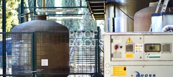 14 bedrooms Villa in Radda in Chianti, Italy No. 151878 12