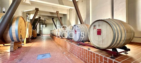 14 bedrooms Villa in Radda in Chianti, Italy No. 151878 48